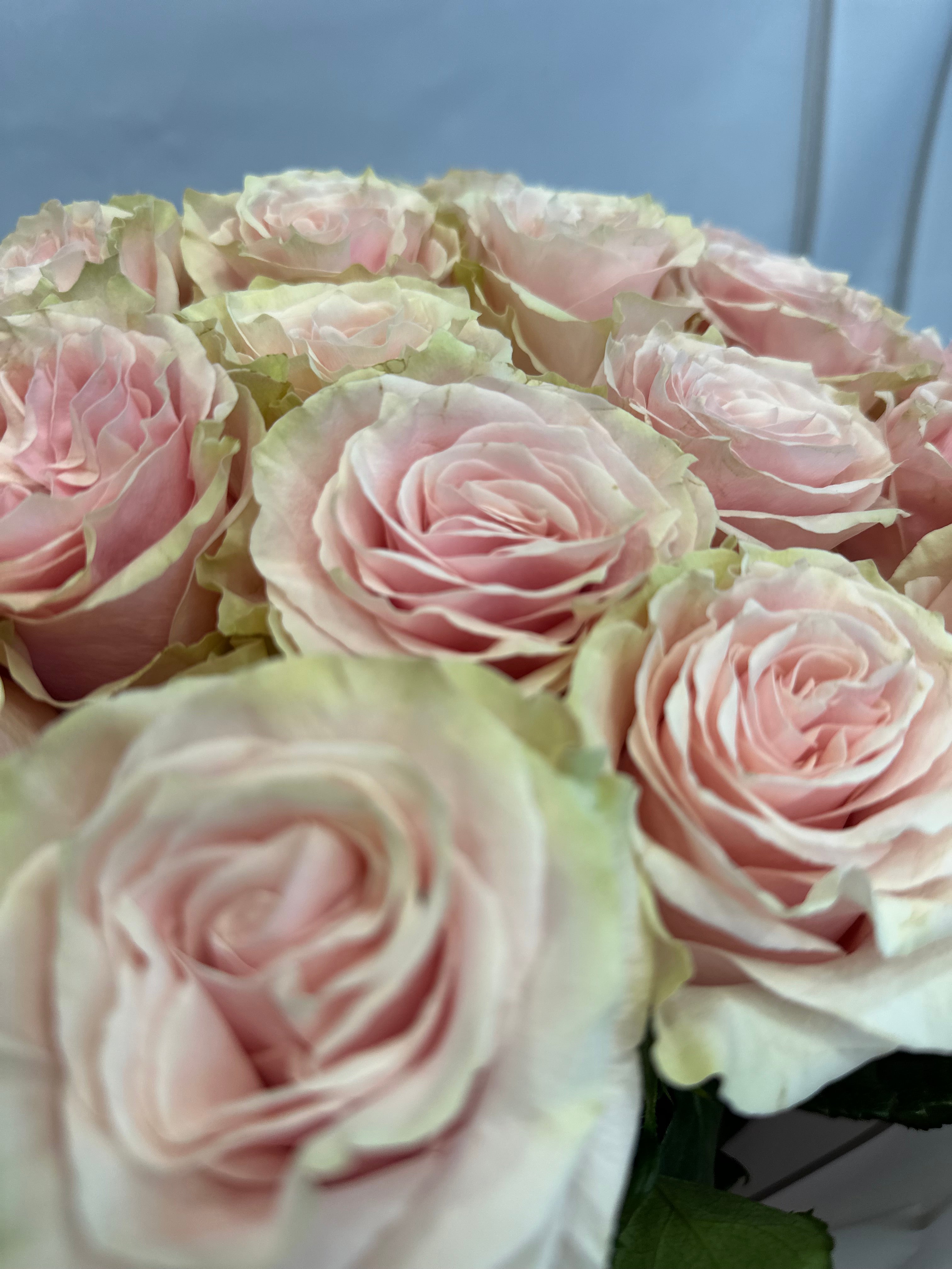 Розова класика