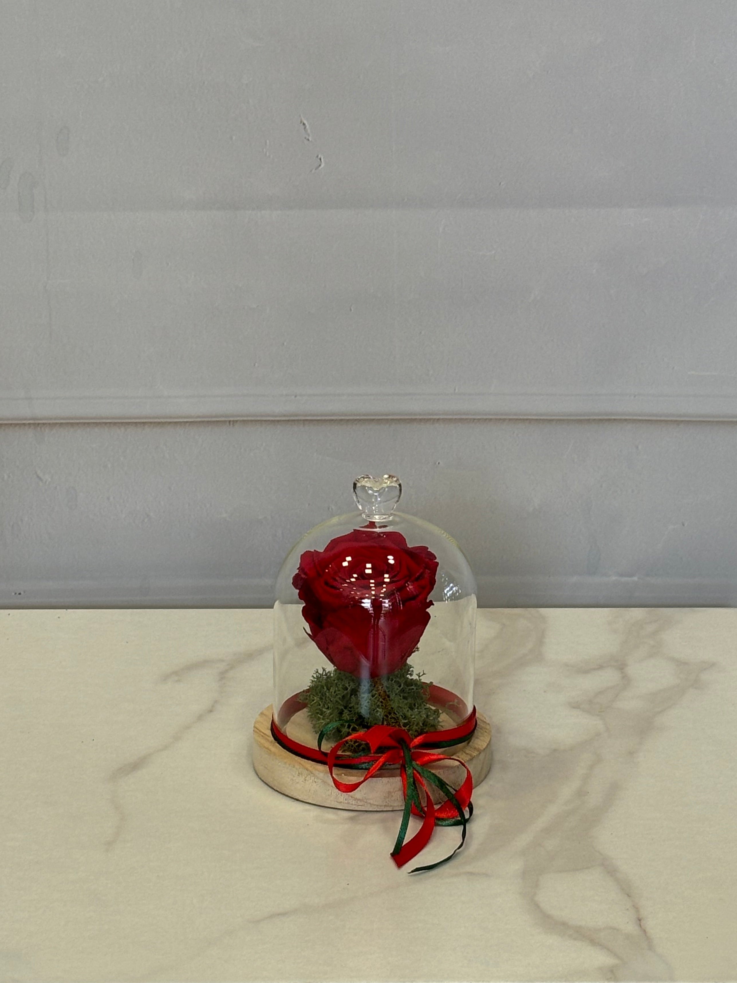 Червена вечна роза