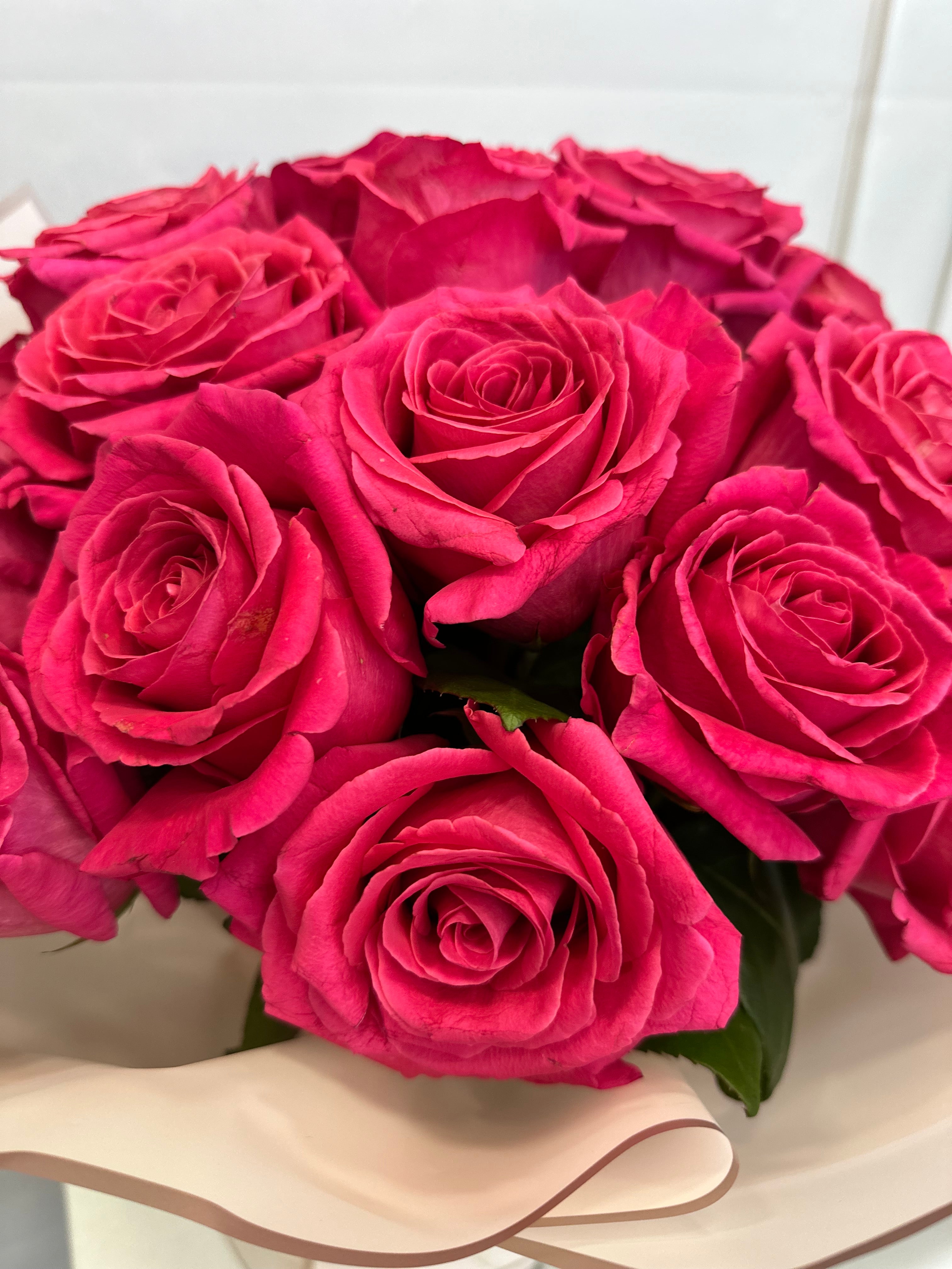 Цикламена магия