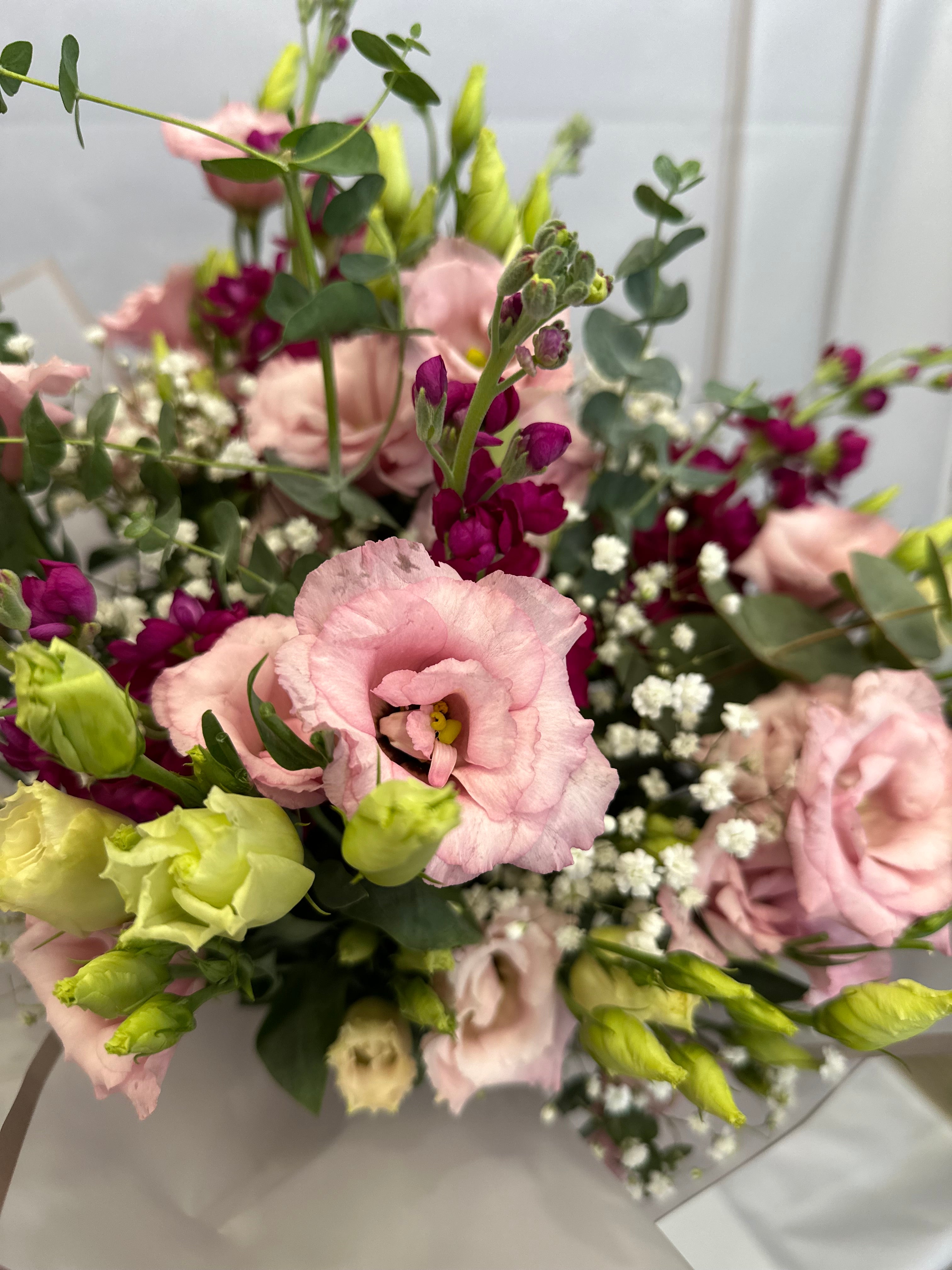 Цветна хармония