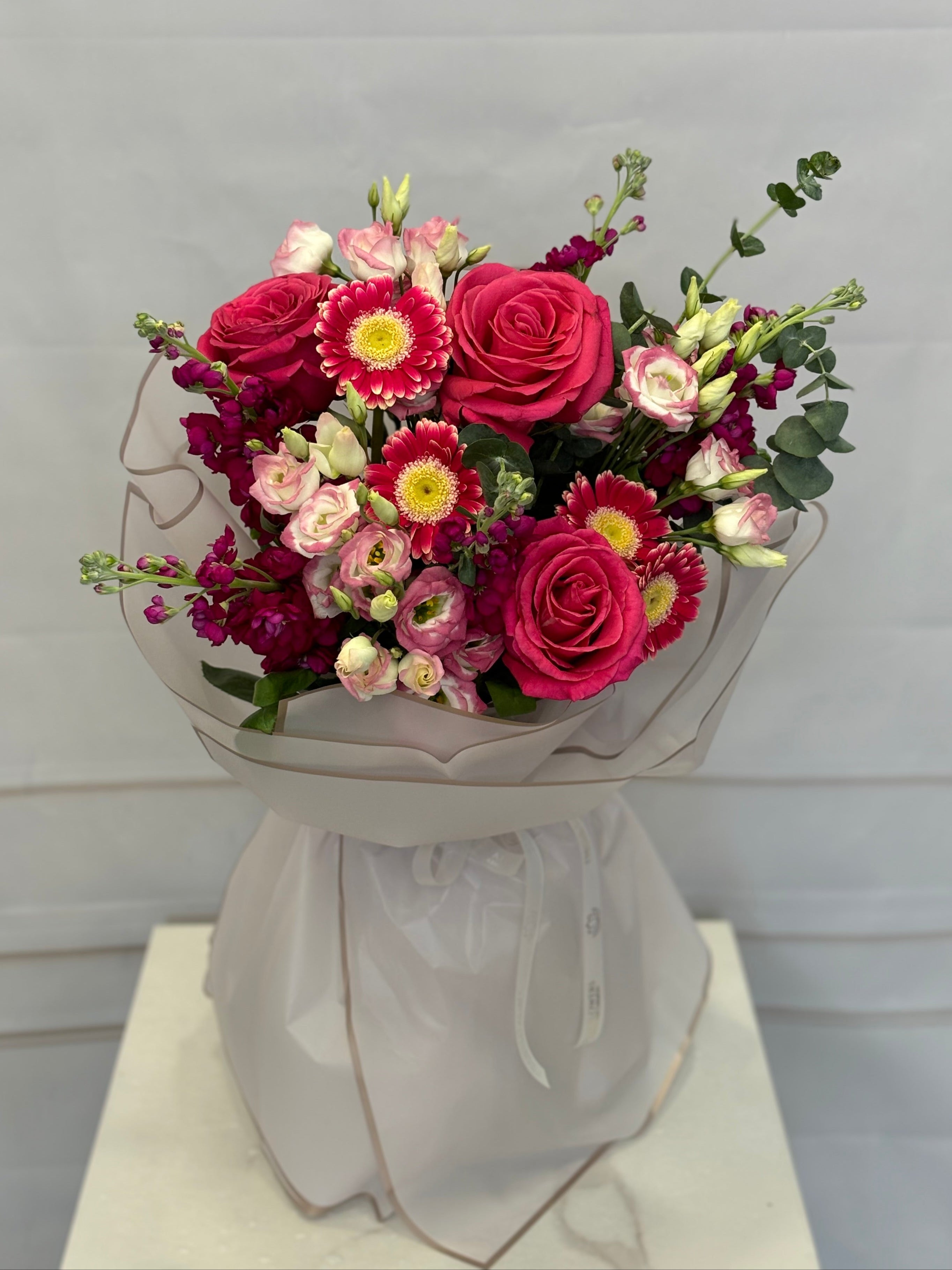 Цикламена грация