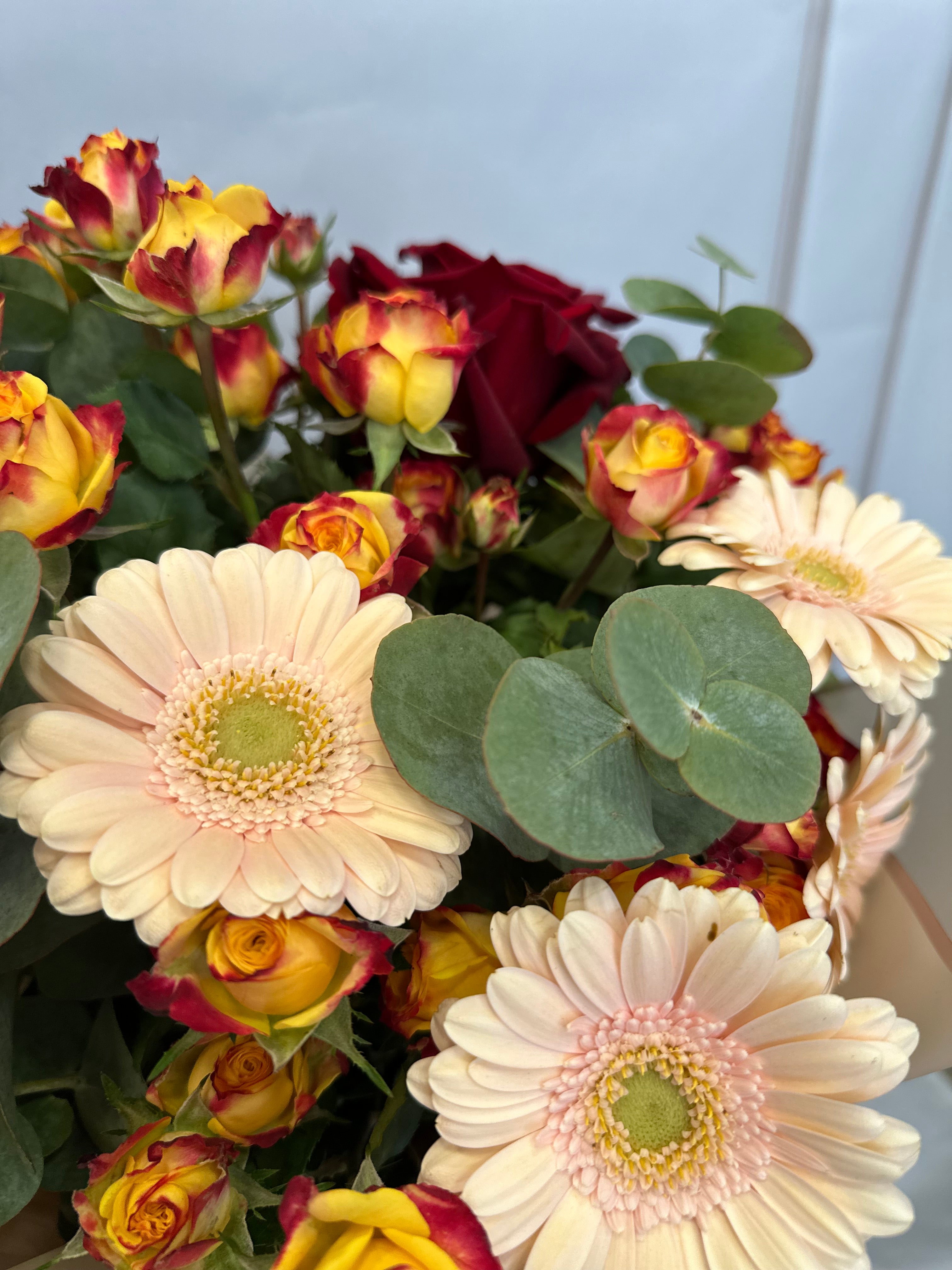 Слънце и страст