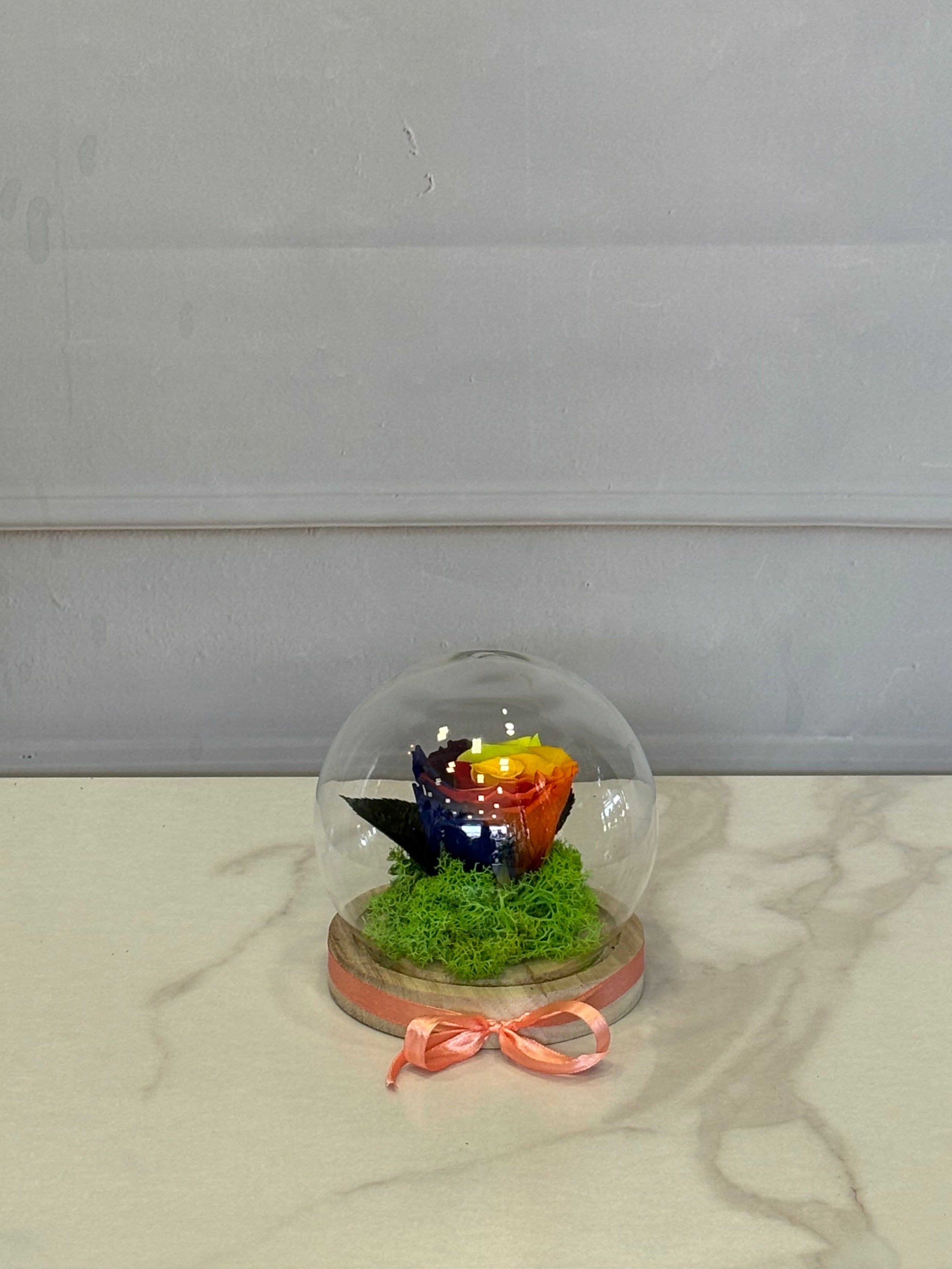 Рейнбоу вечна роза