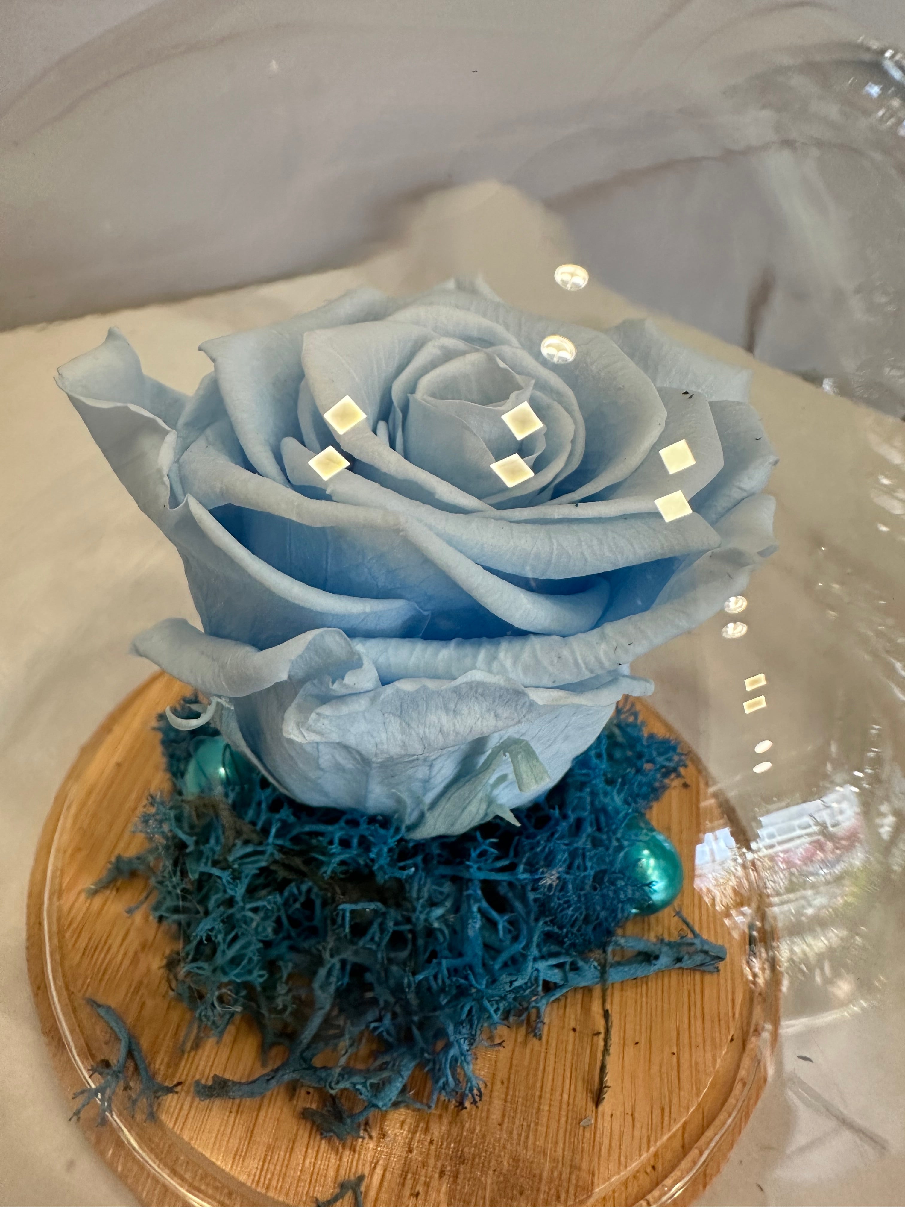 Небесно синя вечна роза