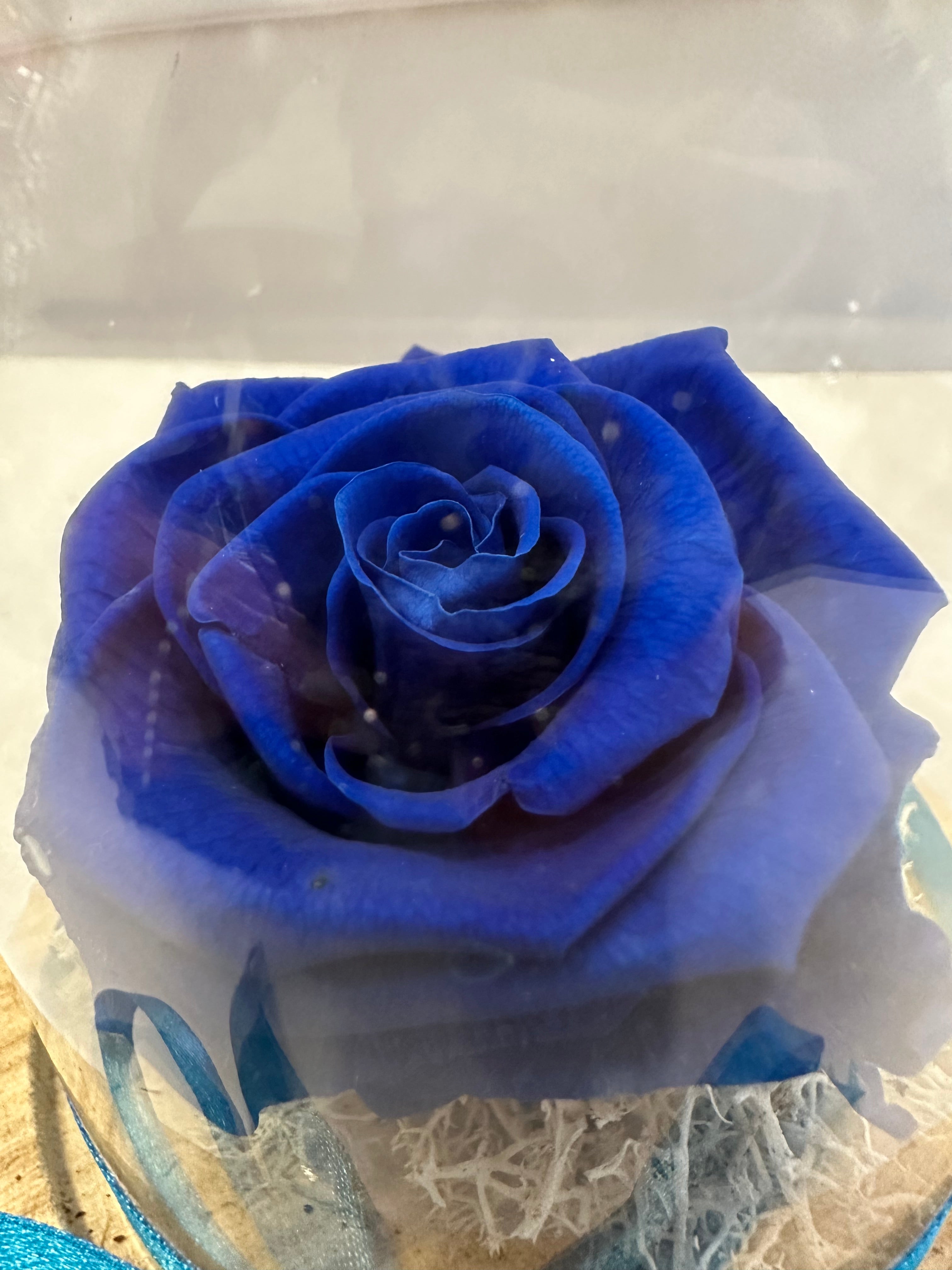 Синя вечна роза
