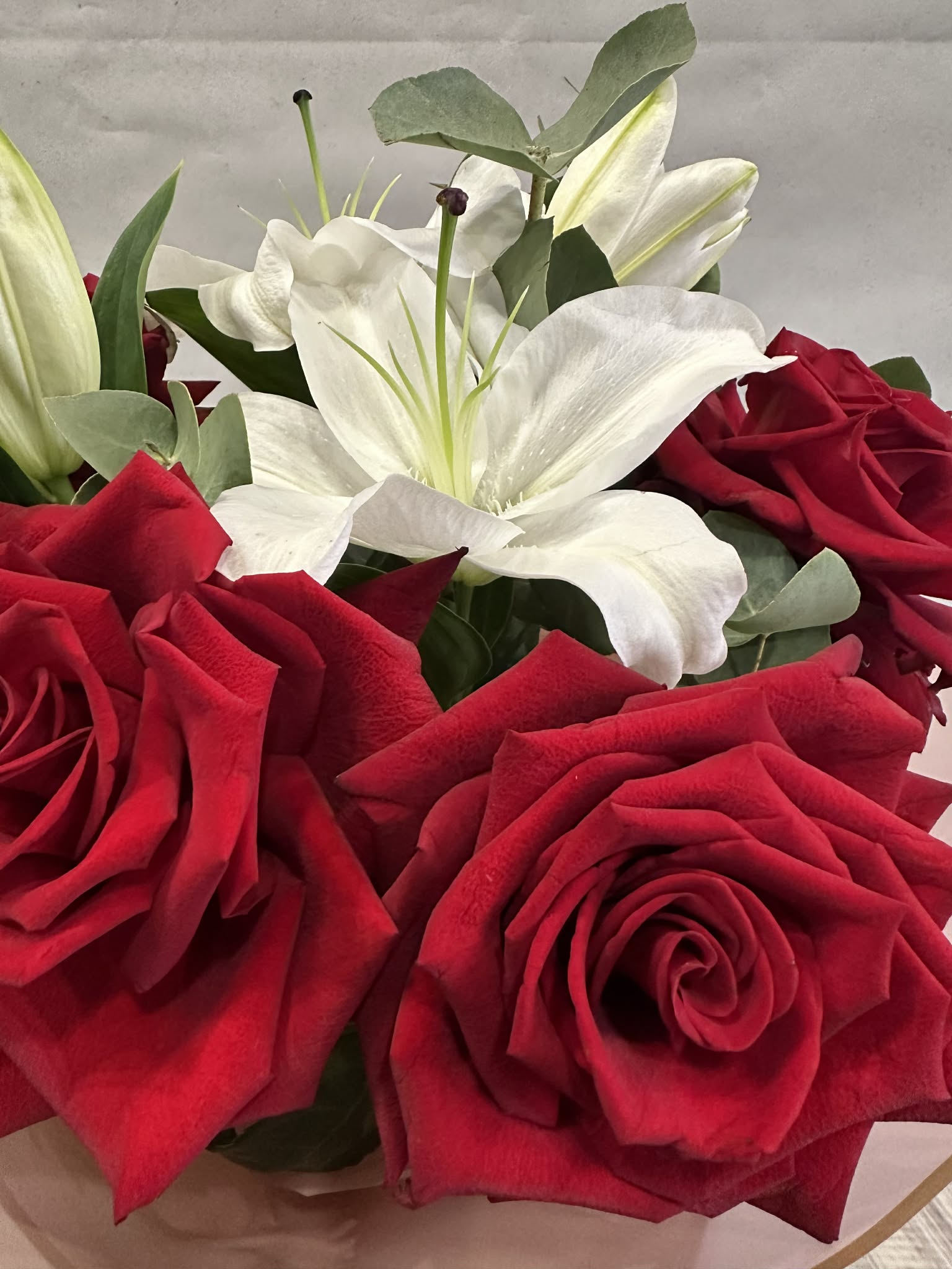 Вечна елегантност